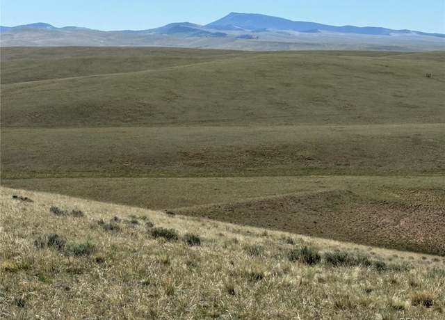Property at 96 Angus Cir, Hartsel, CO 80449