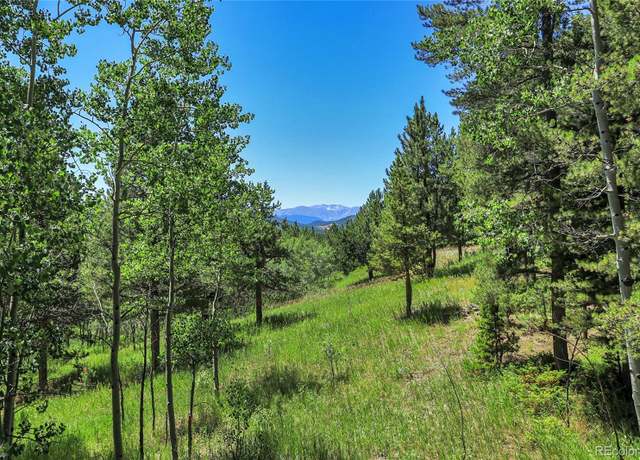 Property at Block 2, Lot 24 Hughesville Rd, Black Hawk, CO 80422