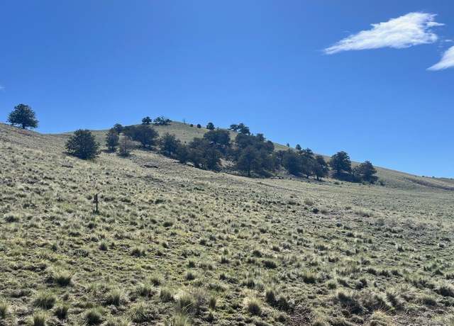 Property at 110 Watonga Rd, Guffey, CO 80820