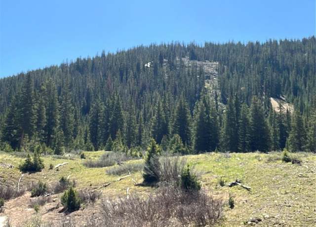 Property at 2711 Forest Queen MC, Buena Vista, CO 81211
