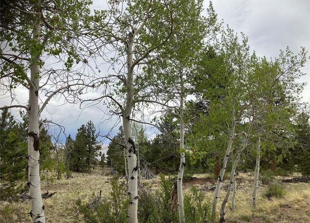 Property at 256 Bandana Rd, Hartsel, CO 80449