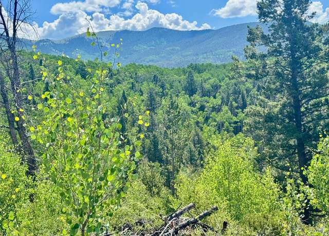 Property at Lot 5850 Richardson Rd, Fort Garland, CO 81152