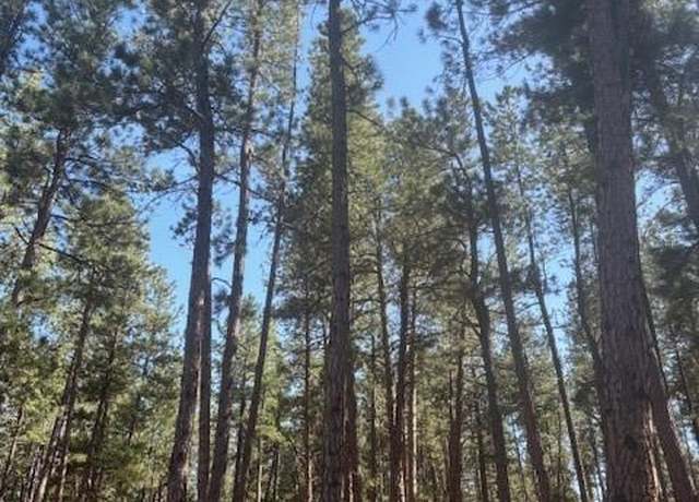 Property at 560 Princess Rd, Cripple Creek, CO 80813