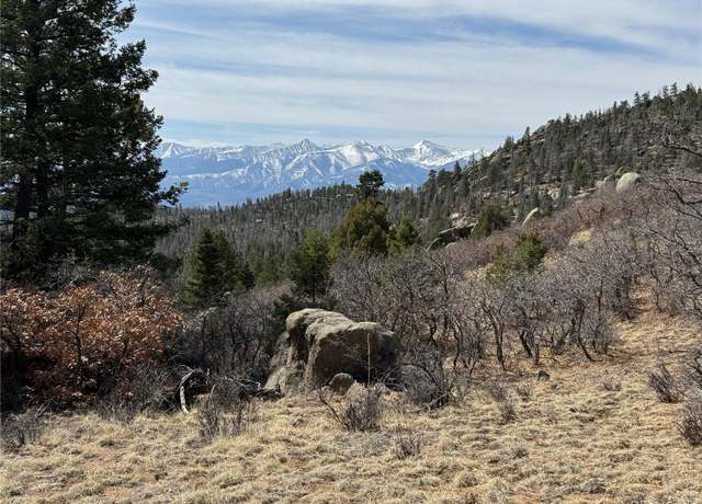 Property at Basin Dr, Cotopaxi, CO 81223