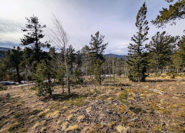 Property at 288 Hayes St, Bailey, CO 80421