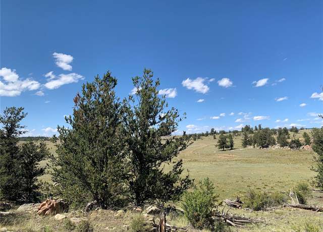 Property at 449 Dudley Dr, Hartsel, CO 80449