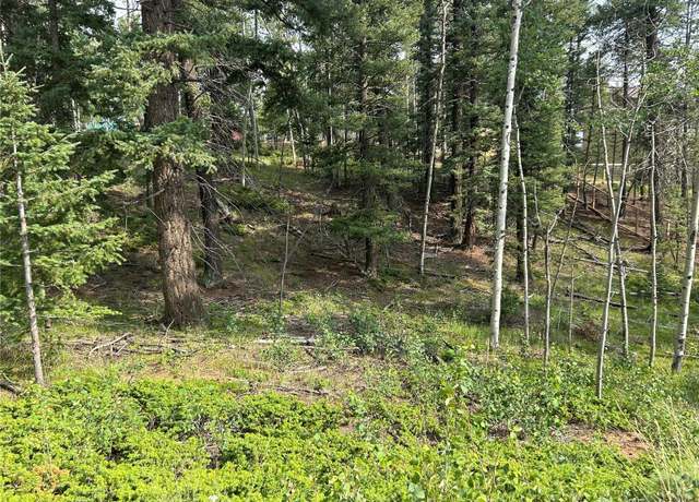 Property at 127 Rampart Cir, Florissant, CO 80816