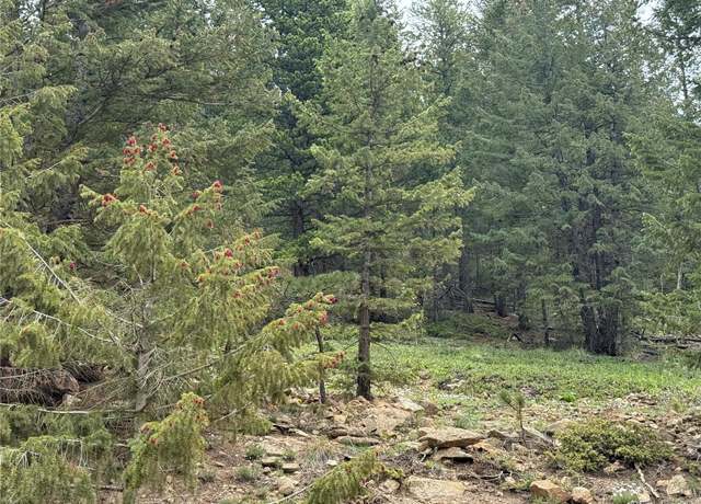 Property at 1700 Dory Hill Rd, Black Hawk, CO 80422