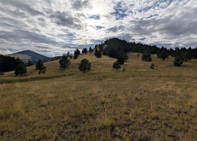 Property at 842 Monarch Dr, Cripple Creek, CO 80813