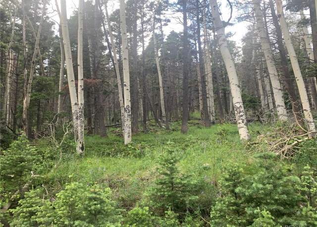 Property at 2956 Kemper Loop, Fort Garland, CO 81133