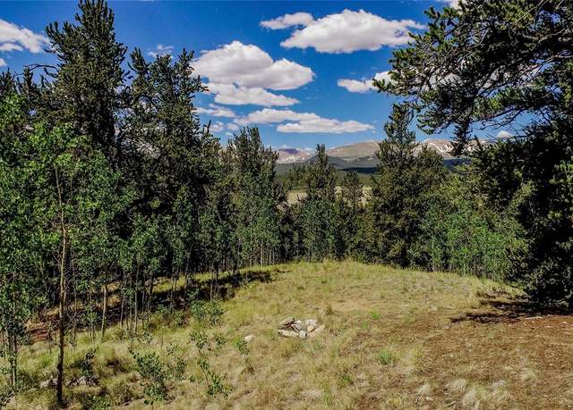 Property at 308 Quarry Rd, Fairplay, CO 80440