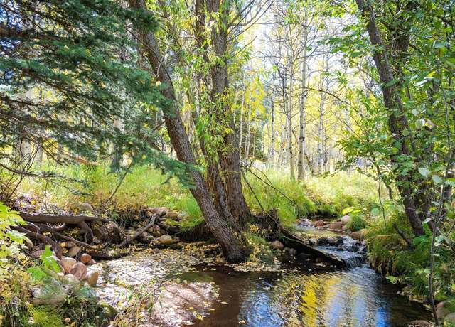 Property at 531 Caribou Rd, Nederland, CO 80466