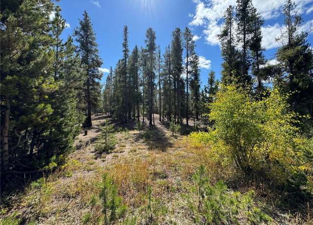 Property at 517 Augusta Dr, Leadville, CO 80461