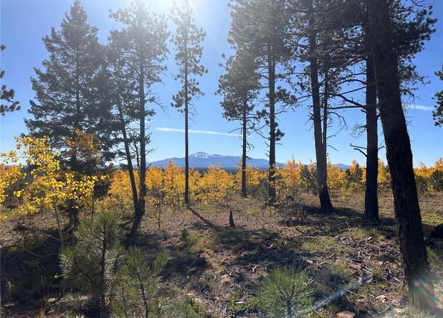 Property at Lot 3 County Road 51, Florissant, CO 80816