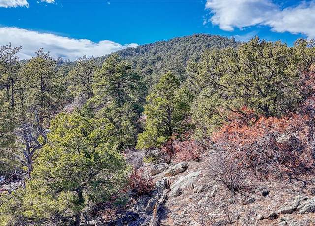 Property at 000 K Path, Cotopaxi, CO 81223