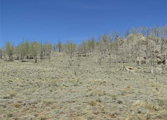 Property at 1868 Ute Trce, Hartsel, CO 80449
