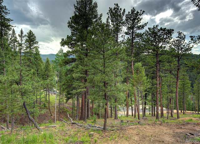 Property at 6874 Lynx Lair Rd, Evergreen, CO 80439
