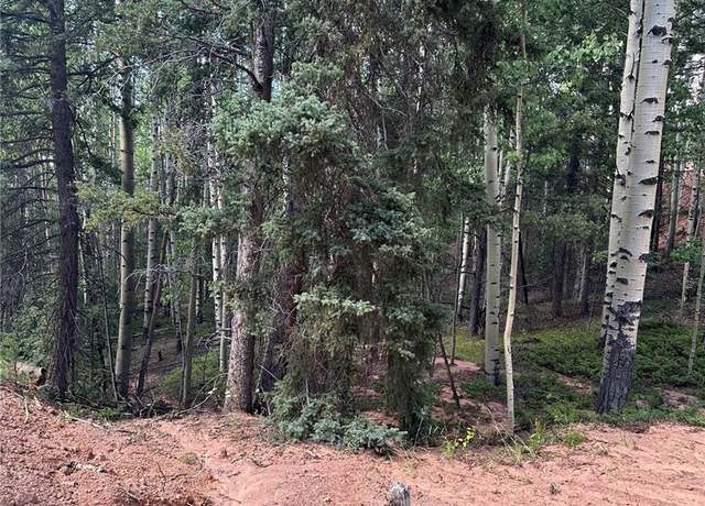 Property at 1301 Calcite Dr, Divide, CO 80814