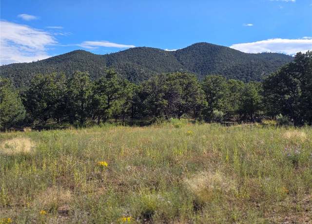 Property at 1576 Balleroy Rd, Fort Garland, CO 81133