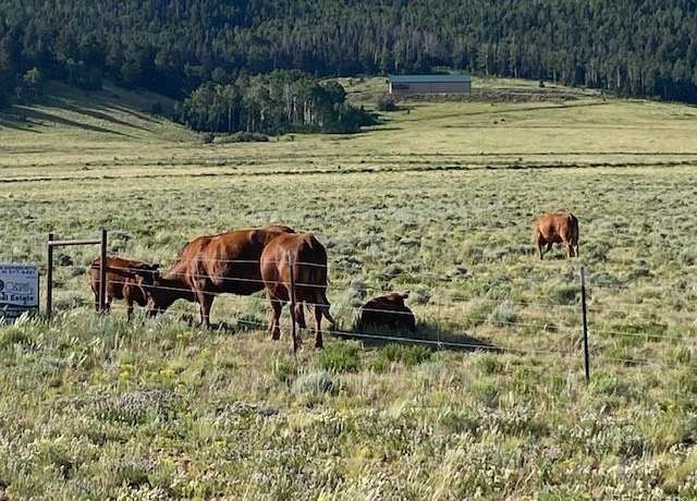 Property at Eagle's Gate Rd, Westcliffe, CO 81252