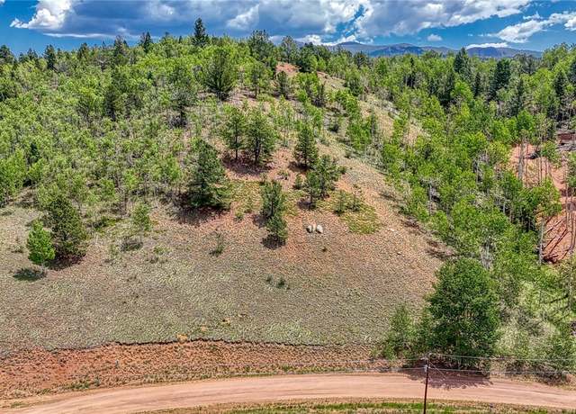 Property at 348 Granite Ln, Cripple Creek, CO 80813