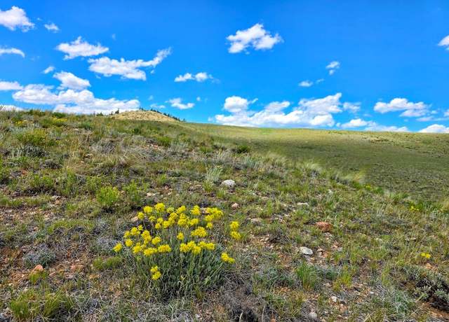 Property at 609 Commanche Trl, Hartsel, CO 80449