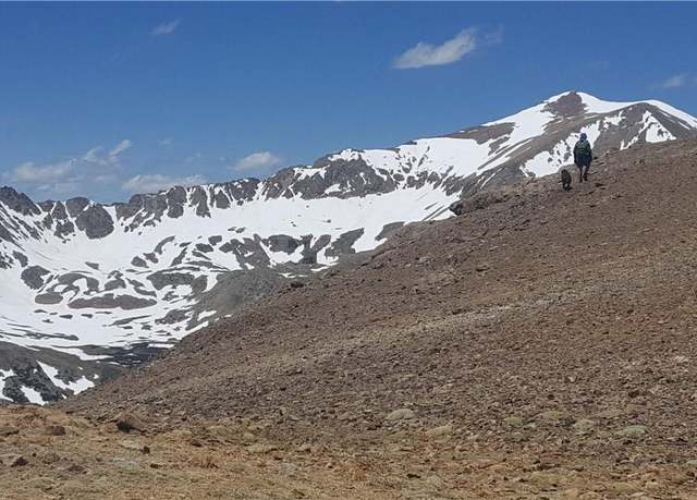 Property at MS#19173 Samson -50%, Alma, CO 80420