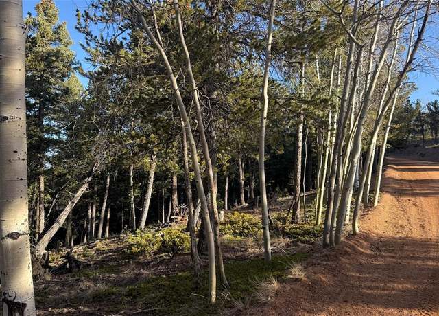 Property at 461 Paradiso Rd, Divide, CO 80814