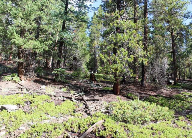 Property at 740 Rangeview Ct, Black Hawk, CO 80422