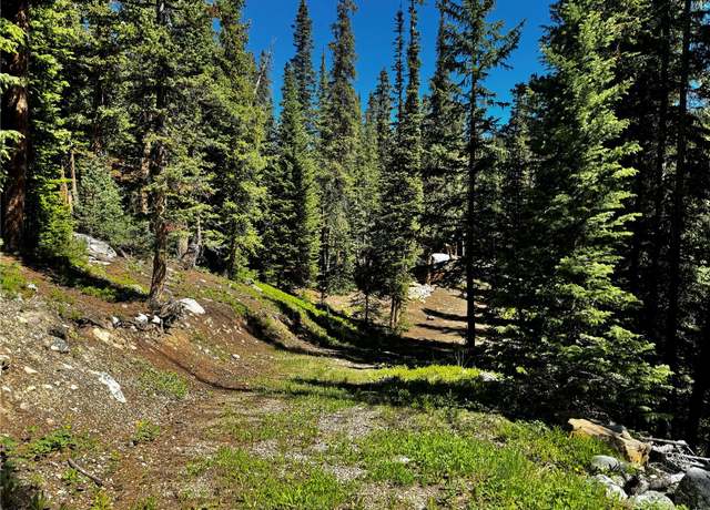Property at 868 Sacramento Xing, Fairplay, CO 80440