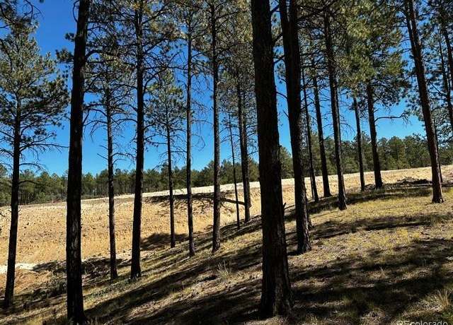 Property at 14864 Bourbon Ct, Colorado Springs, CO 80908