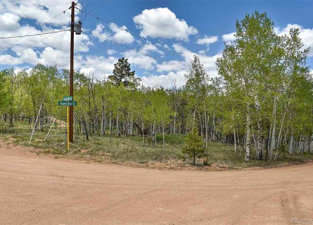 Property at 55 Aspen Way Dr, Guffey, CO 80820
