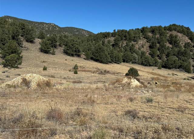 Property at 2925 County Road 1, Cotopaxi, CO 81223