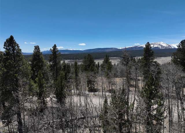 Property at 0 Beaver Ridge Rd, Fairplay, CO 80440