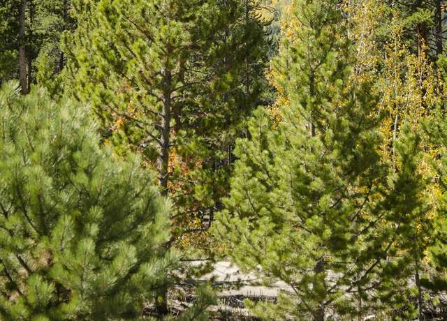 Property at 143 Fir Dr, Leadville, CO 80461