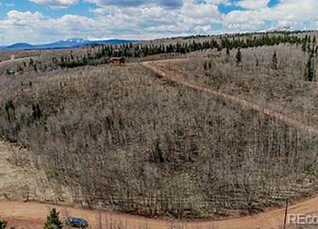 Property at 824 Palmer Peak Dr, Fairplay, CO 80440
