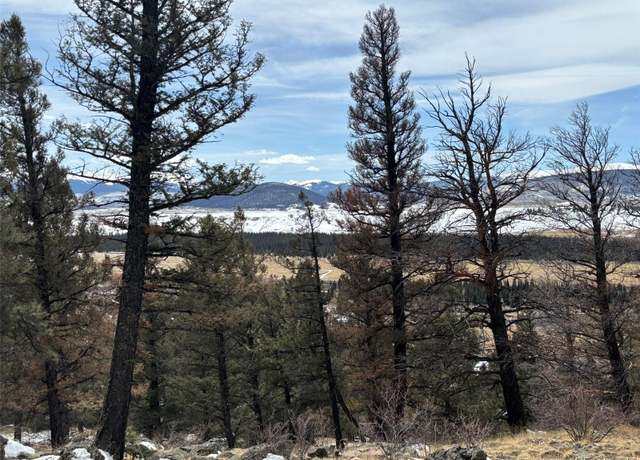 Property at 00 Bonell Dr, Fairplay, CO 80440