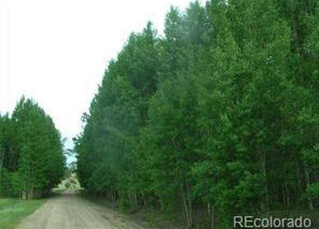 Property at 461 Superstition Trl, Hartsel, CO 80449