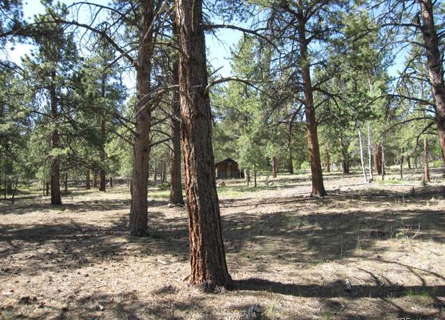 Property at 30423 Harvard Cir, Buena Vista, CO 81211