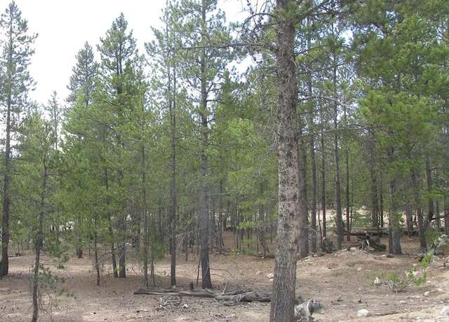 Property at 218 Cedar Dr, Leadville, CO 80461