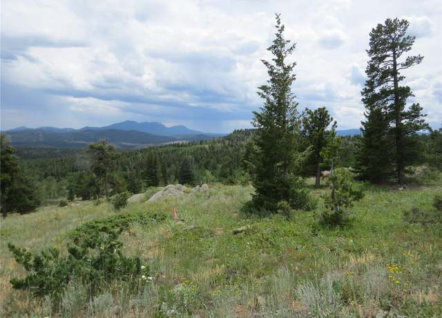 Property at Peak to Peak Hwy, Nederland, CO 80466