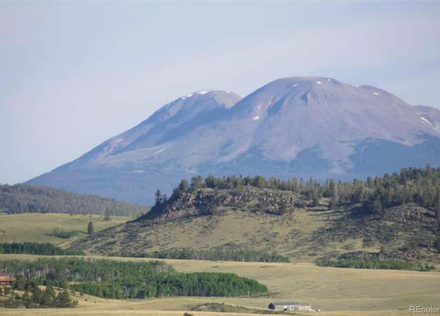 Property at 767 Brahma Cir, Hartsel, CO 80449