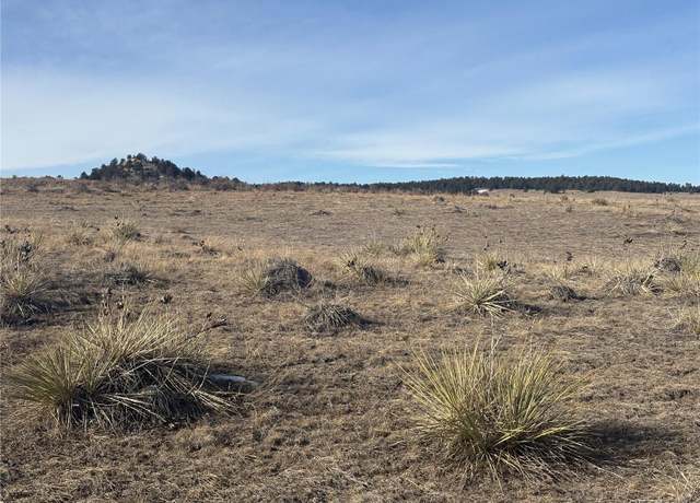 Property at 16505 Warriors Path Dr, Peyton, CO 80831