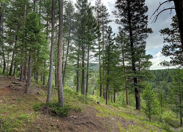 Property at 6855 Lynx Lair Rd, Evergreen, CO 80439