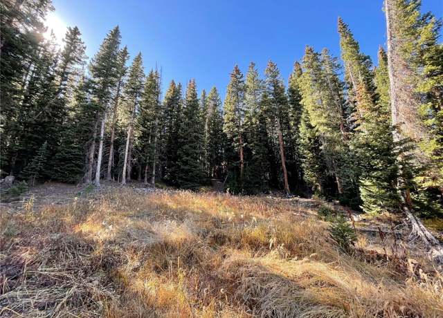 Property at 11 Kimmes Ln, Breckenridge, CO 80424