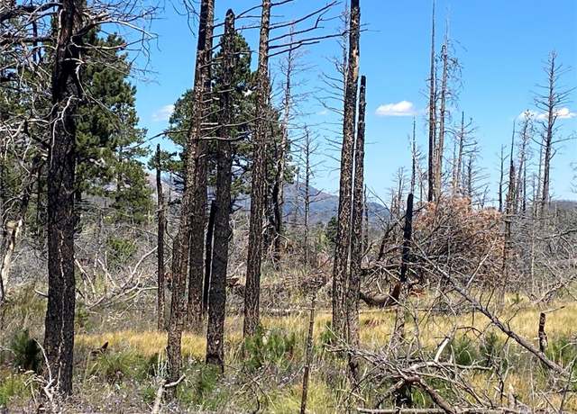 Property at 2249 Buonaventura Ln, Fort Garland, CO 81133