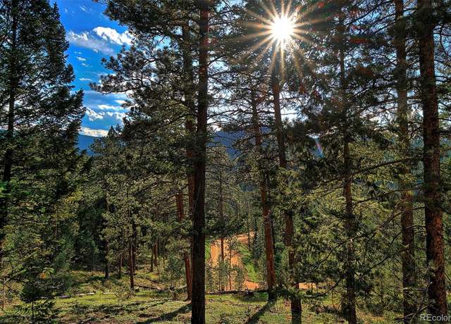 Property at 6875 Lynx Lair Rd, Evergreen, CO 80439