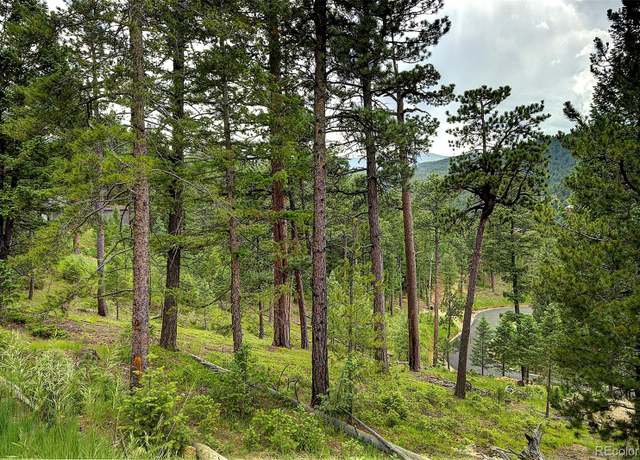 Property at 6875 Lynx Lair Rd, Evergreen, CO 80439