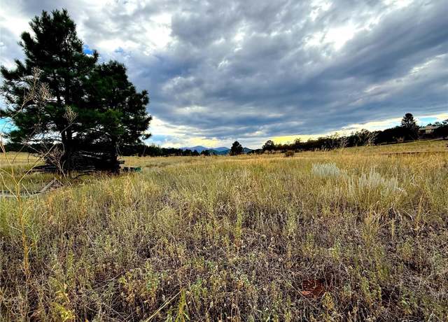 Property at Tbd #2, 23rd Trl, Cotopaxi, CO 81223