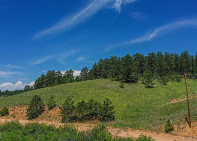 Property at 781 Arapahoe Creek Dr, Florissant, CO 80816